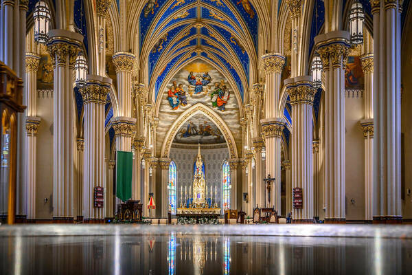 An interior of the Basilica of the Sacred Heart. Tall white pillars line each side and a blue ceiling with gold accents arches overhead.